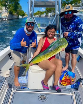 Mahi Mahi / Dorado fishing in Key Largo, Florida