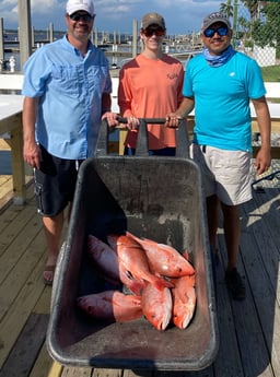 Red Snapper fishing in Orange Beach, Alabama