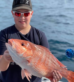 Red Snapper fishing in Clearwater, Florida