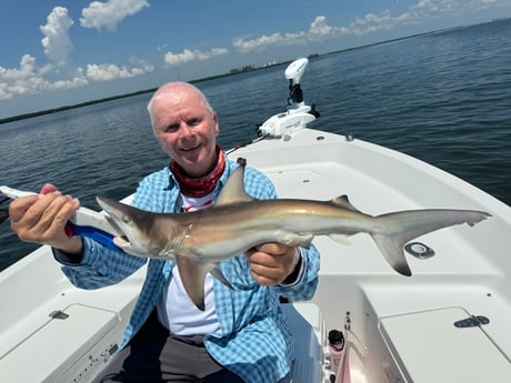 Fishing in St. Petersburg, Florida