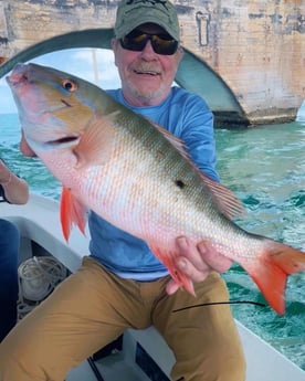 Mutton Snapper fishing in Tavernier, Florida