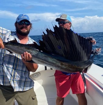 Sailfish fishing in Port O&#039;Connor, Texas