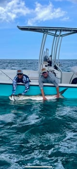 Tarpon fishing in New Smyrna Beach, Florida