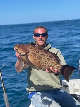 Gag Grouper fishing in Mount Pleasant, South Carolina