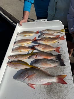 Fishing in Key West, Florida