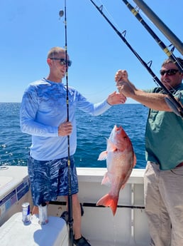 Red Snapper Fishing in Destin, Florida