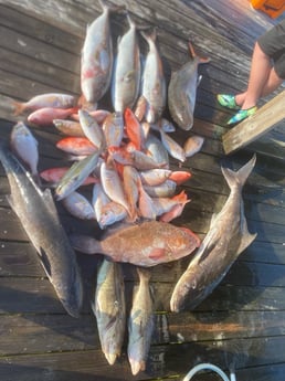 Fishing in Gulf Shores, Alabama