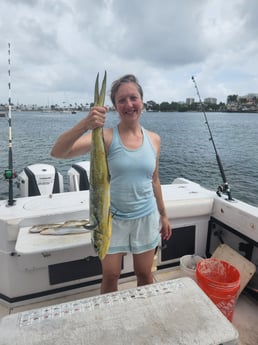 Mahi Mahi / Dorado fishing in Riviera Beach, Florida
