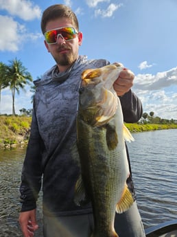 Largemouth Bass Fishing in Fort Lauderdale, Florida