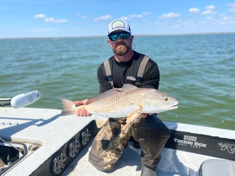 Redfish fishing in Port O&#039;Connor, Texas