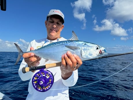 Fishing in Jupiter, Florida