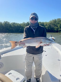 Redfish Fishing in Fort Myers, Florida