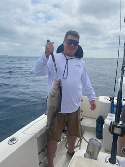 Amberjack Fishing in Destin, Florida