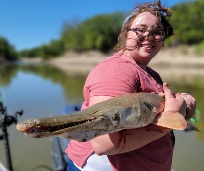 Alligator Gar fishing in Dallas, Texas