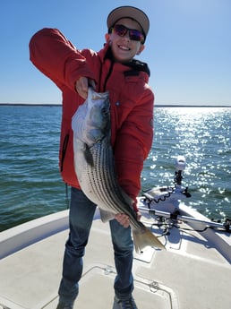 Striped Bass fishing in Whitney, Texas