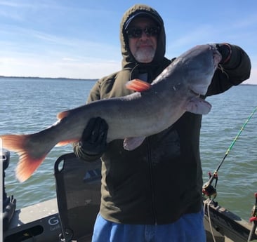 Blue Catfish fishing in Dallas, Texas