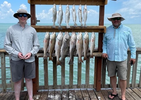 Black Drum, Redfish, Speckled Trout Fishing in South Padre Island, Texas