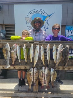 Black Drum, Speckled Trout Fishing in Corpus Christi, Texas