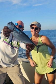 False Albacore Fishing in Pompano Beach, Florida