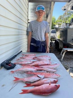 Red Snapper Fishing in Pensacola, Florida