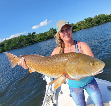 Redfish Fishing in Tampa, Florida