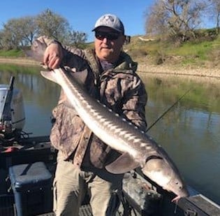 Sturgeon Fishing in Anderson, California