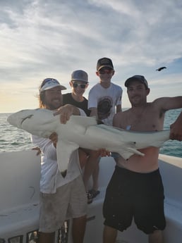 Blacktip Shark fishing in Key West, Florida