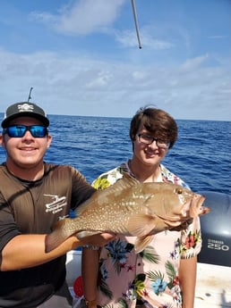 Red Grouper fishing in Clearwater, Florida