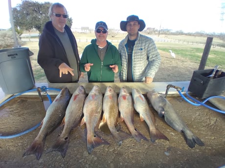 Redfish fishing in San Antonio, Texas