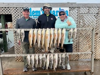 Black Drum, Redfish, Speckled Trout / Spotted Seatrout Fishing in Corpus Christi, Texas