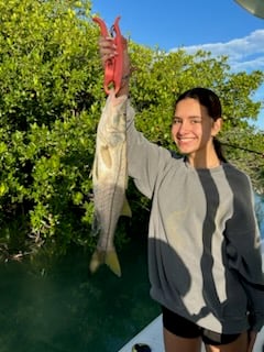 Snook Fishing in Key Largo, Florida