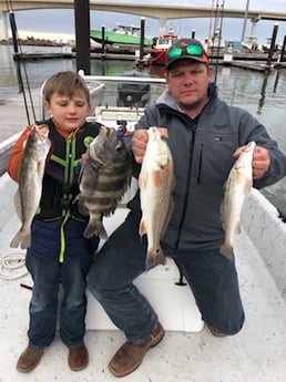 Redfish, Sheepshead, Speckled Trout Fishing in Surfside Beach, Texas