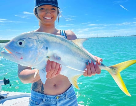 Jack Crevalle fishing in Tavernier, Florida