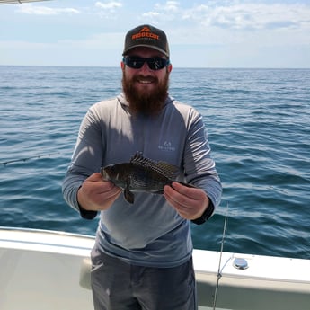 Black Seabass fishing in Stone Harbor, New Jersey