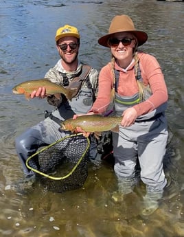 Rainbow Trout fishing in Denver, Colorado, USA