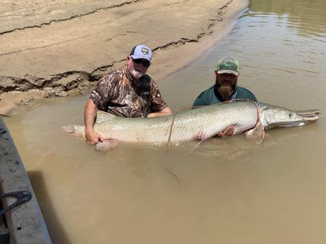 Alligator Gar Fishing in Dallas, Texas