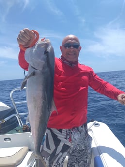 Amberjack fishing in Clearwater, Florida