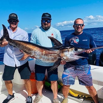 Swordfish Fishing in Miami Beach, Florida