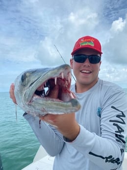 Barracuda fishing in Marathon, Florida