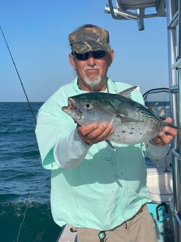 False Albacore Fishing in Naples, Florida