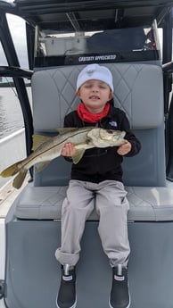 Snook Fishing in St. Petersburg, Florida