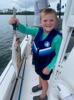 Spanish Mackerel fishing in Panama City, Florida