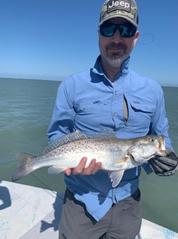 Black Drum fishing in Corpus Christi, Texas