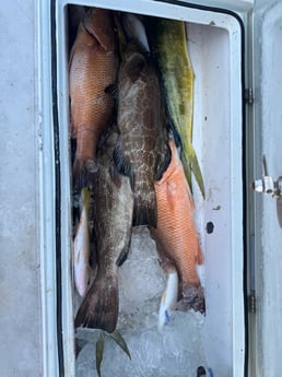 Fishing in Miami, Florida