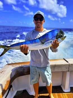 Mahi Mahi / Dorado fishing in Galveston, Texas