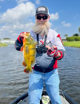 Peacock Bass Fishing in Boca Raton, Florida