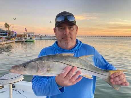 Snook Fishing in South Padre Island, Texas