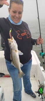 Speckled Trout / Spotted Seatrout fishing in Galveston, Texas