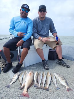 Black Drum, Redfish, Speckled Trout Fishing in Galveston, Texas