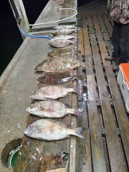 Fishing in Aransas Pass, Texas